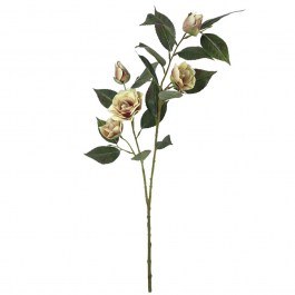 Artificial Flower Camellia 00-99930-4 69cm Beige Marhome BEIGE