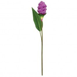 Artificial Flower Ginger 00-10021-2 62cm Purple Marhome PURPLE