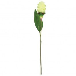 Artificial Flower Ginger 00-10021-3 62cm Ecru Marhome ECRU