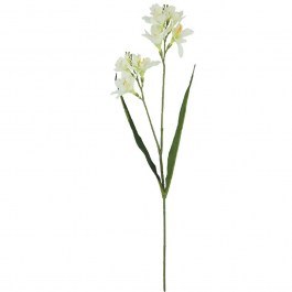 Artificial Flower Freesia 00-10034-4 65cm Ecru Marhome ECRU