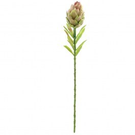 Artificial Branch Protea 00-99932-1 D7x56cm Green-Pink Marhome GREEN-PINK