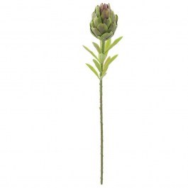 Artificial Branch Protea 00-99932-2 D7x56cm Green Marhome GREEN