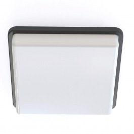 Ceiling Light Tahoe I 10038 25x25x6,5cm 2xE27 15W Black Nowodvorski BLACK