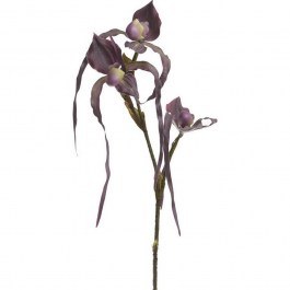 Διακοσμητικό Κλαδί-Λουλούδι 3-85-783-0053 Purple Υ92 Inart PURPLE