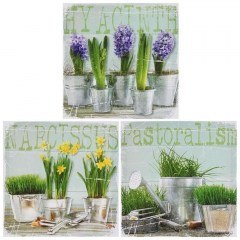 Canvas 3pcs 3-90-709-0152 28Χ28 Multi Inart