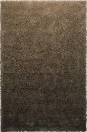 Carpet Shade High 011901 Dark Beige Brink & Campman DARK BEIGE