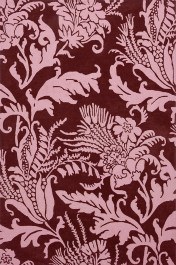 Carpet Baroque 162902 Pink Ted Baker PINK