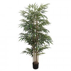 &Tau;&epsilon;&chi;&nu;&eta;&tau;ό &Delta;έ&nu;&tau;&rho;&omicron; &Mu;&pi;&alpha;&mu;&pi;&omicron;ύ NP824_153 153cm Green NewPlan