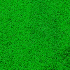 Μοκέτα Furore Shaggy 345 Dark Green