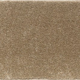 Μοκέτα Prestige Beige Ns Carpets BEIGE