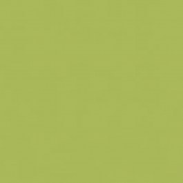 Δάπεδο Πλαστικό Exclusive 200 27038011 Μονόχρωμο Lime LIME