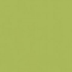 Δάπεδο Πλαστικό Exclusive 200 27038011 Μονόχρωμο Lime