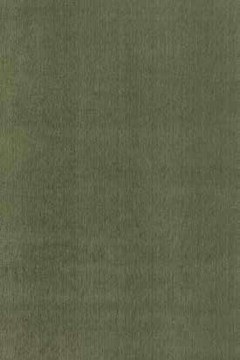 Carpet Amalia Light Green Carpet Couture