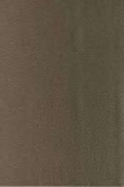 Χαλί Patio Olive Carpet Couture OLIVE
