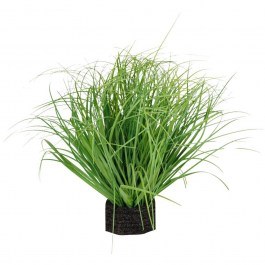Artificial Plant Grass 816-40006 35cm Green Estheti Home GREEN