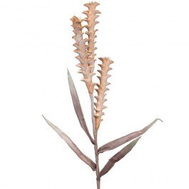 Artificial Flower Aloids 816-20047 30x105cm Brown Estheti Home BROWN