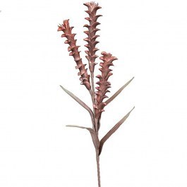 Artificial Flower Aloids 816-20048 30x105cm Bordo Estheti Home BORDO