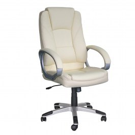 Director's Office Chair BF6950 EO278.3 64x71x112/122cm White WHITE