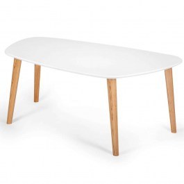 Coffee Table Endocarp ENDOCARPCT1 110x66x45cm White WHITE