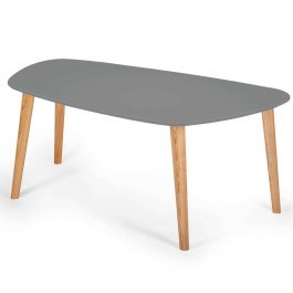 Coffee Table Endocarp ENDOCARPCT6 110x66x45cm Concrete CONCRETE
