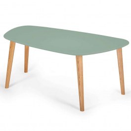 Coffee Table Endocarp ENDOCARPCT17 110x66x45cm Sage Green SAGE GREEN