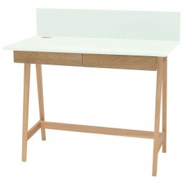 Office Luka LUKA2DOFASH11 110x50x75cm Natural-Mint MINT