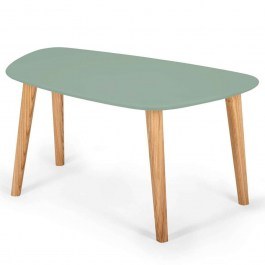 Coffee Table Endocarp M ENDOCARPCTM17 80x48x40cm Sage Green SAGE GREEN