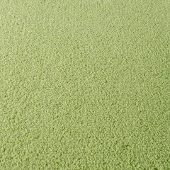 Μοκέτα Dolce Vita 1301 18mm Light Green