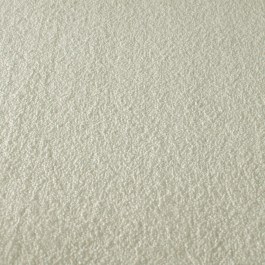 Fitter Carpet Eros 1401 12mm Ivory IVORY