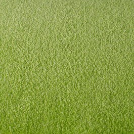 Fitter Carpet Eros 1413 12mm Light Green LIGHT GREEN