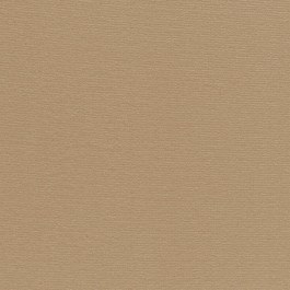 Μοκέτα Roxane 40 Υπόστρωμα Action Back 8mm Beige BEIGE