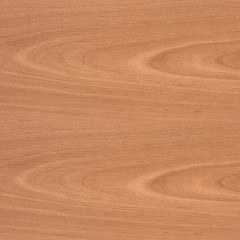 Δάπεδο Laminate TRD Elite-496 9mm Carolina Beech