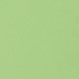 Δάπεδο Βινυλικό Plain 1040-18 2mm 2M Green GREEN