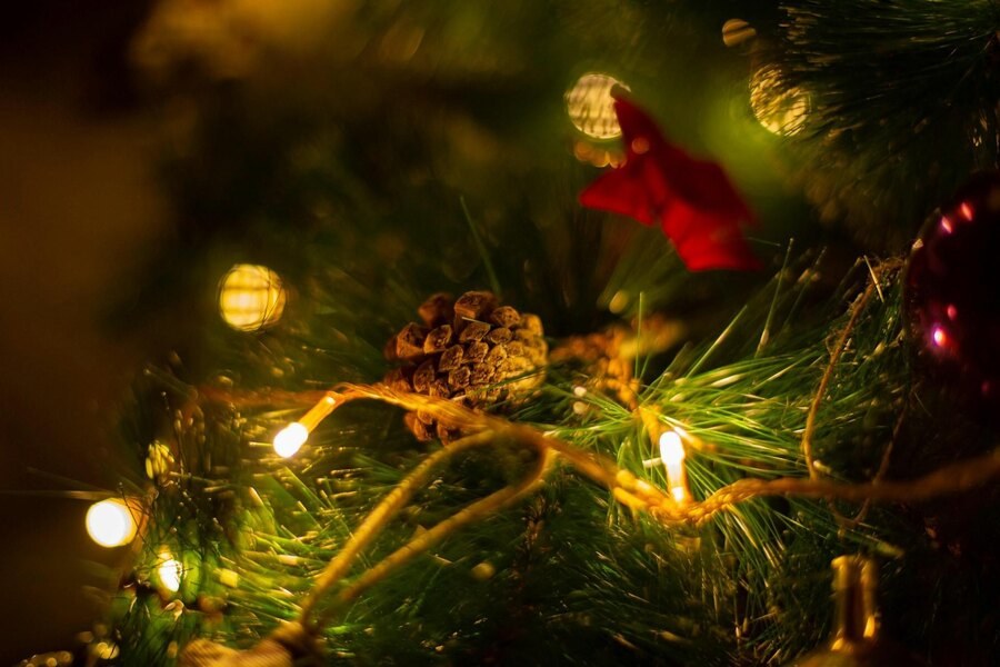 &Lambda;&alpha;&mu;&pi;ά&kappa;&iota;&alpha; &Chi;&rho;&iota;&sigma;&tau;&omicron;&upsilon;&gamma;&epsilon;&nu;&nu;&iota;ά&tau;&iota;&kappa;&omicron;&upsilon; &Delta;έ&nu;&tau;&rho;&omicron;&upsilon;