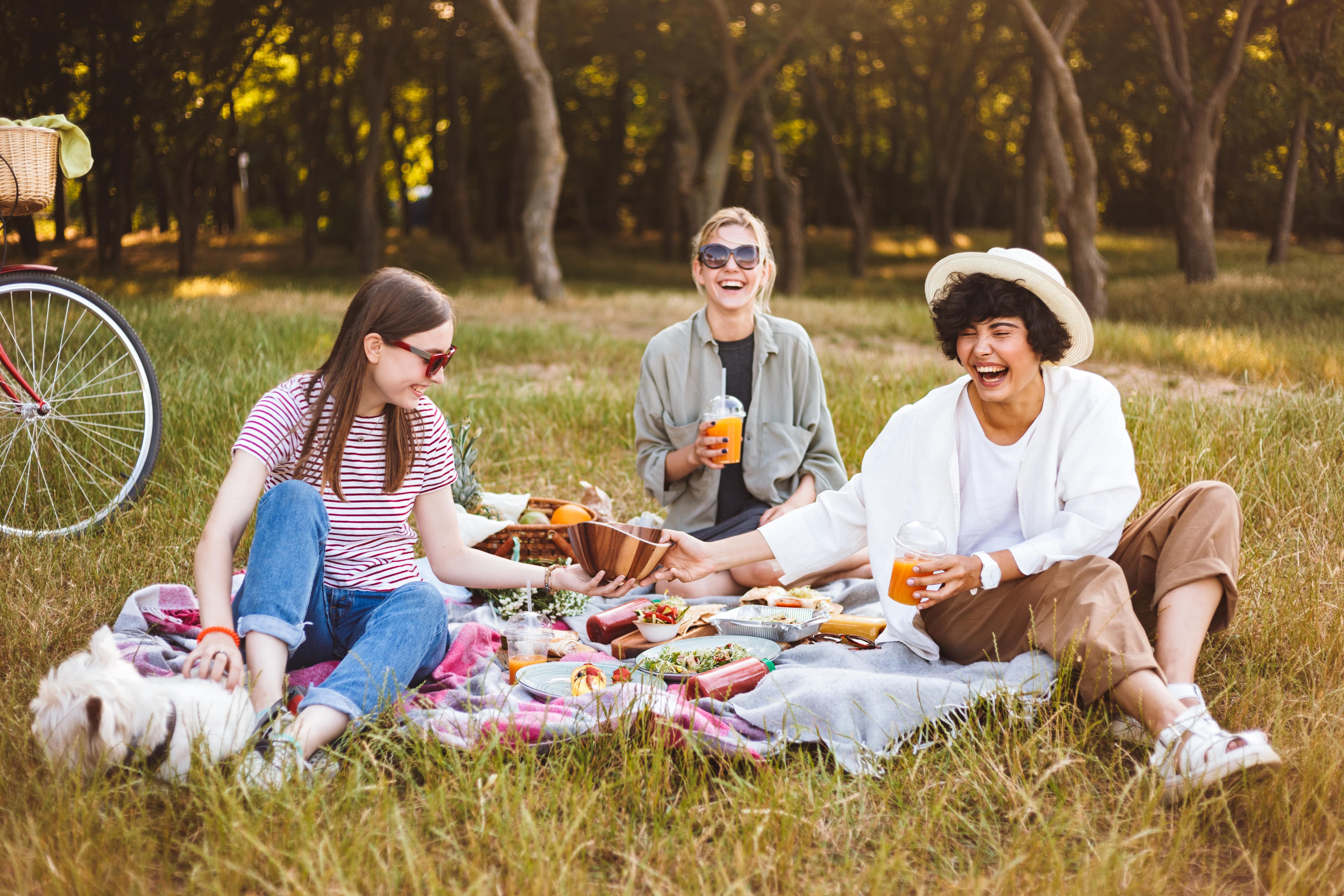 mgs_blog/g/r/group-laughing-girls-happily-spending-time-beautiful-picnic-with-little-dog-park.jpg