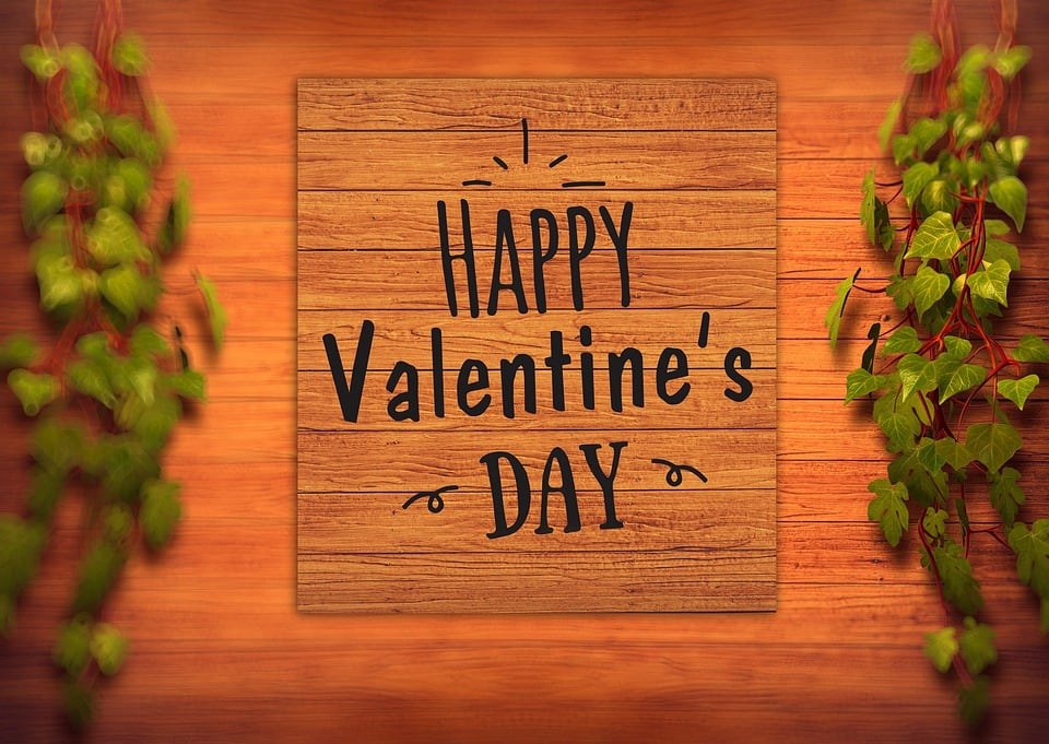 mgs_blog/h/a/happy-valentines-day-4789177_960_720.jpg