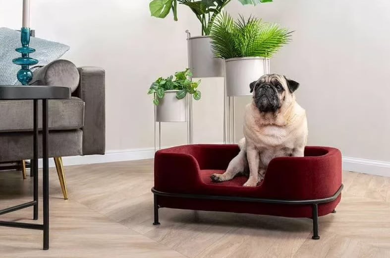 καναπες για κατοικίδια