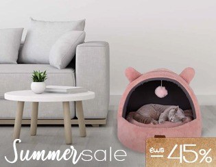 Pet Accessories