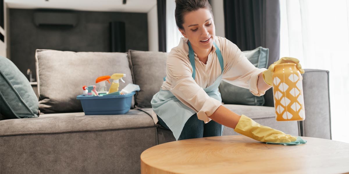 Furniture Cleaning Guide
