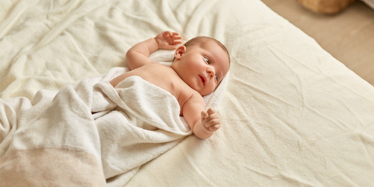 &Omicron;&delta;&eta;&gamma;ό&sigmaf; &Alpha;&gamma;&omicron;&rho;ά&sigmaf; &Beta;&rho;&epsilon;&phi;&iota;&kappa;ώ&nu; &Kappa;&omicron;&upsilon;&beta;&epsilon;&rho;&tau;ώ&nu;